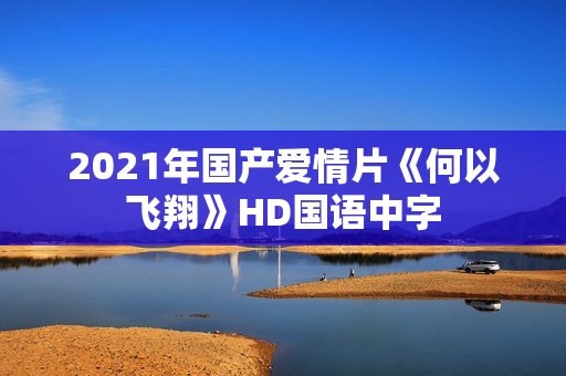 2021年国产爱情片《何以飞翔》HD国语中字