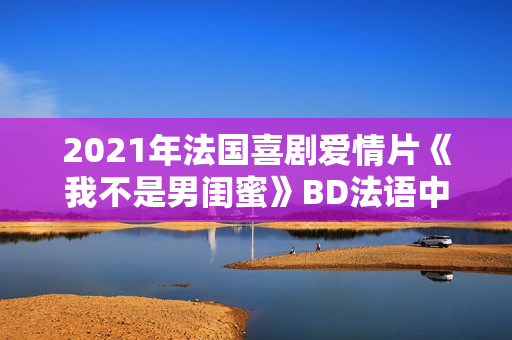 2021年法国喜剧爱情片《我不是男闺蜜》BD法语中字