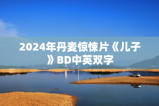 2024年丹麦惊悚片《儿子》BD中英双字