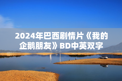 2024年巴西剧情片《我的企鹅朋友》BD中英双字