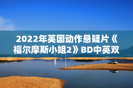 2022年英国动作悬疑片《福尔摩斯小姐2》BD中英双字