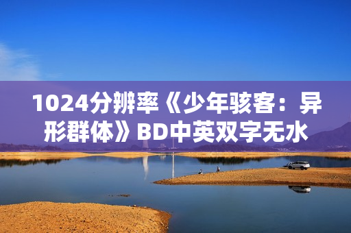 1024分辨率《少年骇客：异形群体》BD中英双字无水印