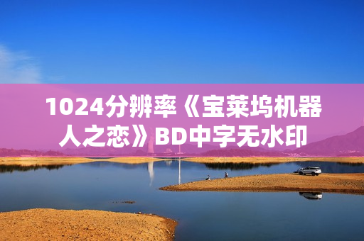 1024分辨率《宝莱坞机器人之恋》BD中字无水印