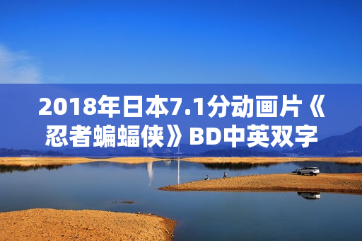 2018年日本7.1分动画片《忍者蝙蝠侠》BD中英双字