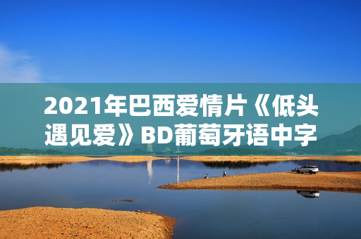 2021年巴西爱情片《低头遇见爱》BD葡萄牙语中字