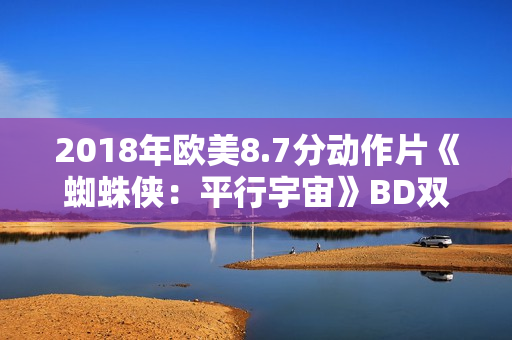 2018年欧美8.7分动作片《蜘蛛侠：平行宇宙》BD双语双字