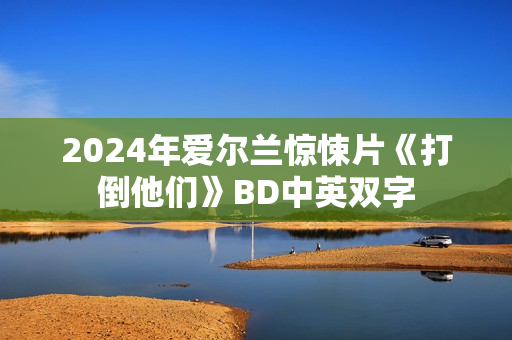 2024年爱尔兰惊悚片《打倒他们》BD中英双字