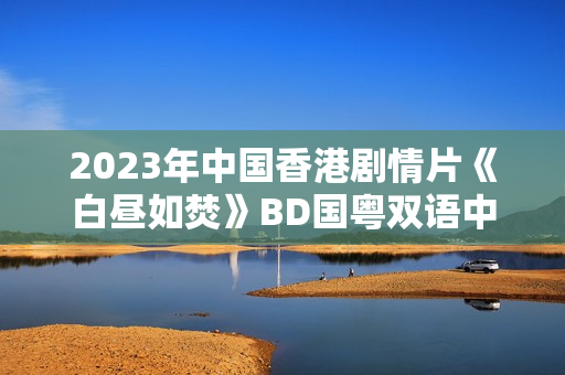 2023年中国香港剧情片《白昼如焚》BD国粤双语中字