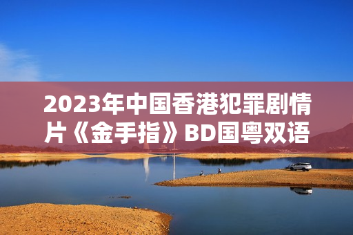 2023年中国香港犯罪剧情片《金手指》BD国粤双语中字
