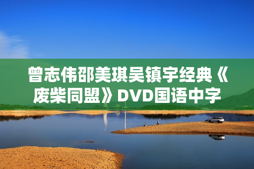 曾志伟邵美琪吴镇宇经典《废柴同盟》DVD国语中字