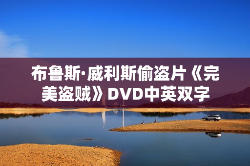 布鲁斯·威利斯偷盗片《完美盗贼》DVD中英双字