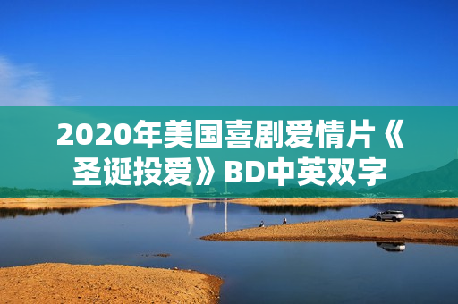 2020年美国喜剧爱情片《圣诞投爱》BD中英双字