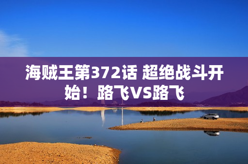 海贼王第372话 超绝战斗开始！路飞VS路飞