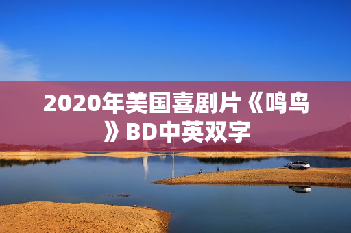 2020年美国喜剧片《鸣鸟》BD中英双字