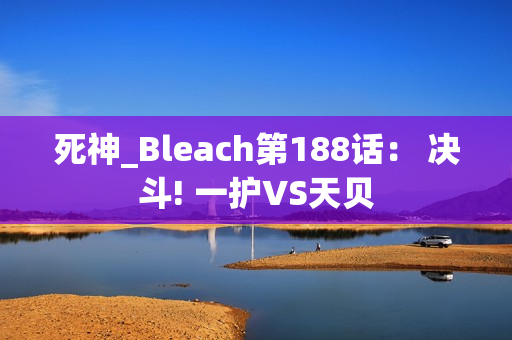 死神_Bleach第188话： 决斗! 一护VS天贝