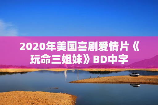 2020年美国喜剧爱情片《玩命三姐妹》BD中字