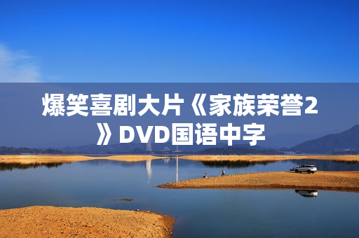 爆笑喜剧大片《家族荣誉2》DVD国语中字