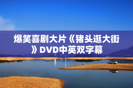 爆笑喜剧大片《猪头逛大街》DVD中英双字幕