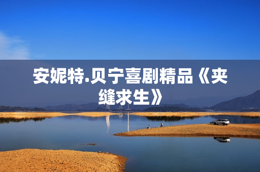 安妮特.贝宁喜剧精品《夹缝求生》