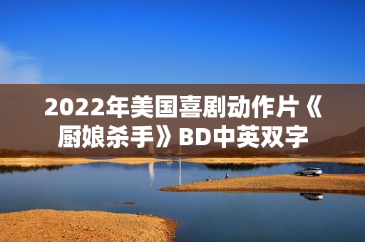 2022年美国喜剧动作片《厨娘杀手》BD中英双字