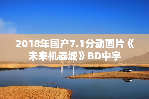 2018年国产7.1分动画片《未来机器城》BD中字