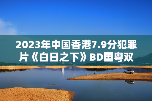 2023年中国香港7.9分犯罪片《白日之下》BD国粤双语中字