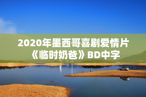 2020年墨西哥喜剧爱情片《临时奶爸》BD中字