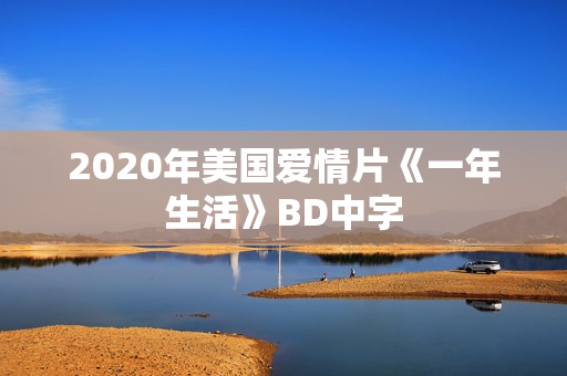 2020年美国爱情片《一年生活》BD中字