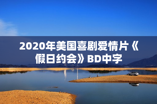2020年美国喜剧爱情片《假日约会》BD中字