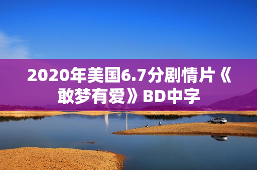 2020年美国6.7分剧情片《敢梦有爱》BD中字