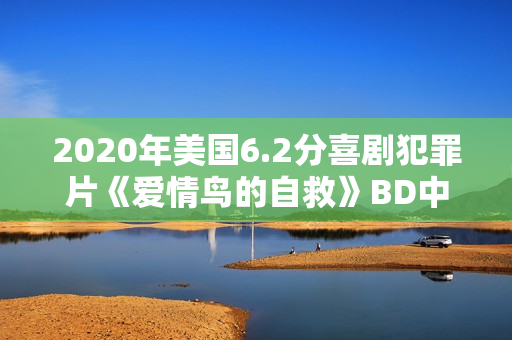 2020年美国6.2分喜剧犯罪片《爱情鸟的自救》BD中字