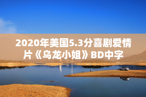2020年美国5.3分喜剧爱情片《乌龙小姐》BD中字