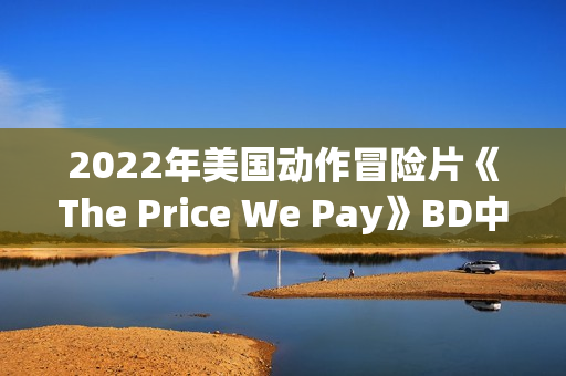 2022年美国动作冒险片《The Price We Pay》BD中英双字