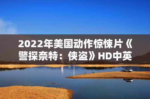 2022年美国动作惊悚片《警探奈特：侠盗》HD中英双字