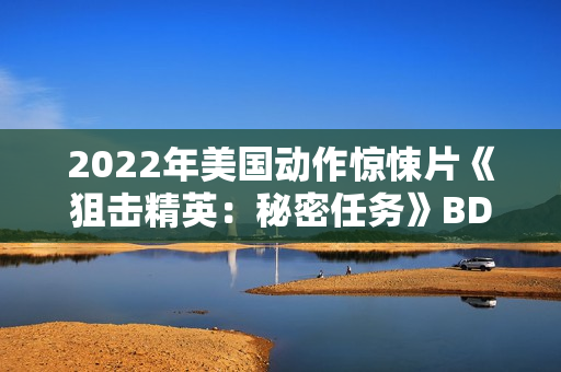 2022年美国动作惊悚片《狙击精英：秘密任务》BD中英双字