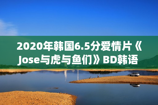 2020年韩国6.5分爱情片《Jose与虎与鱼们》BD韩语中字