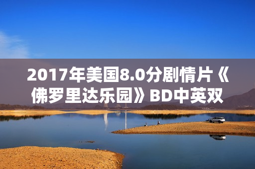 2017年美国8.0分剧情片《佛罗里达乐园》BD中英双字