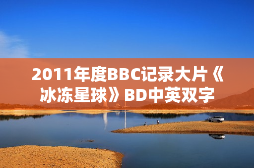 2011年度BBC记录大片《冰冻星球》BD中英双字
