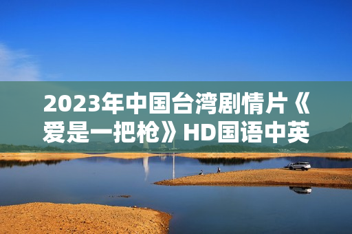 2023年中国台湾剧情片《爱是一把枪》HD国语中英双字