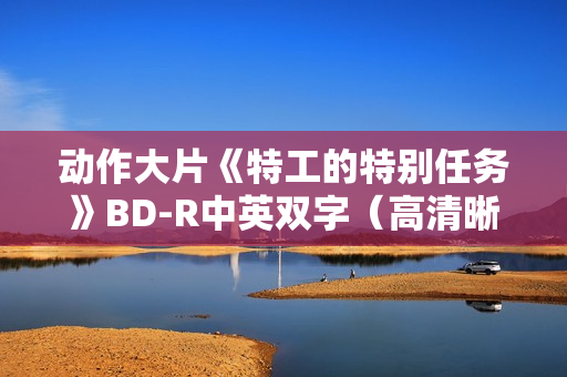 动作大片《特工的特别任务》BD-R中英双字（高清晰版）
