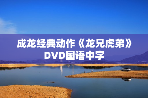 成龙经典动作《龙兄虎弟》DVD国语中字