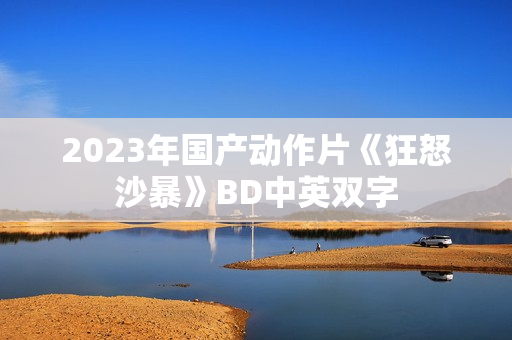 2023年国产动作片《狂怒沙暴》BD中英双字