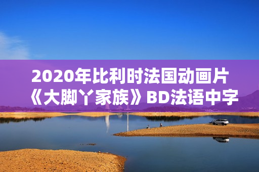 2020年比利时法国动画片《大脚丫家族》BD法语中字