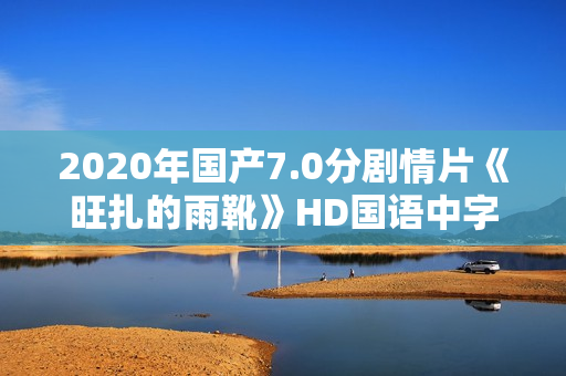 2020年国产7.0分剧情片《旺扎的雨靴》HD国语中字