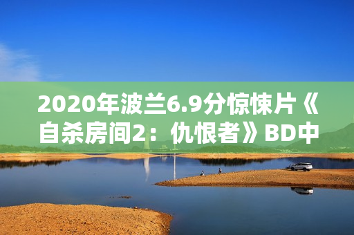 2020年波兰6.9分惊悚片《自杀房间2：仇恨者》BD中字
