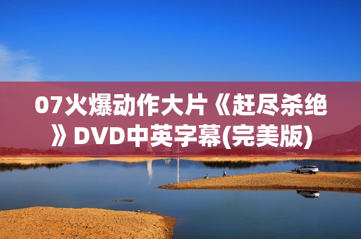 07火爆动作大片《赶尽杀绝》DVD中英字幕(完美版)