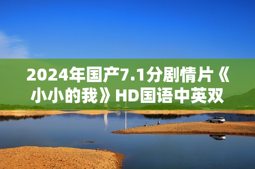 2024年国产7.1分剧情片《小小的我》HD国语中英双字