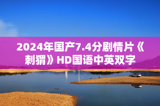 2024年国产7.4分剧情片《刺猬》HD国语中英双字