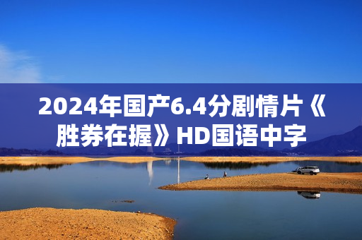 2024年国产6.4分剧情片《胜券在握》HD国语中字