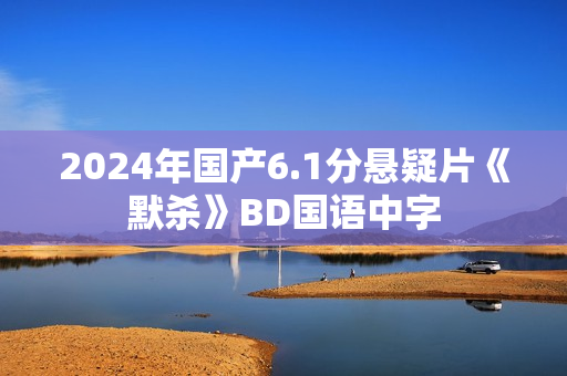 2024年国产6.1分悬疑片《默杀》BD国语中字